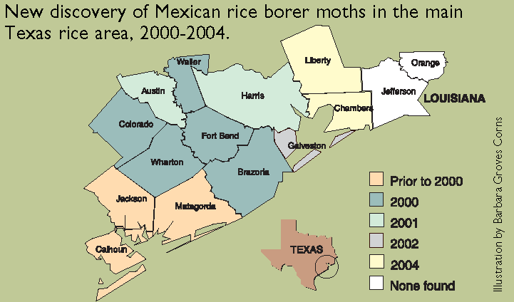 Slowing Down the Mexican Rice Borer