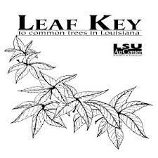 1.10_fig_1_leaf_key.jpg thumbnail