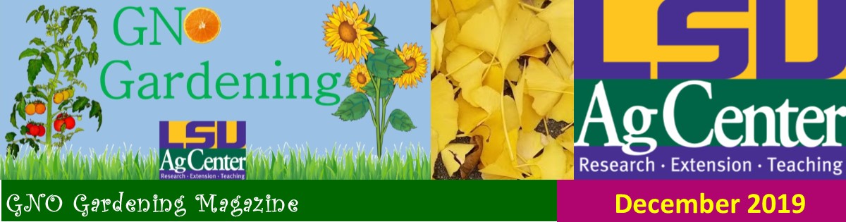 GNO Gardening - December 2019