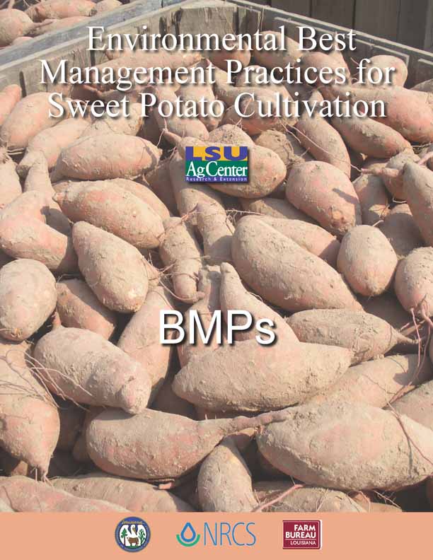 Environmental Best Management Practices for Sweet Potato Cultivation