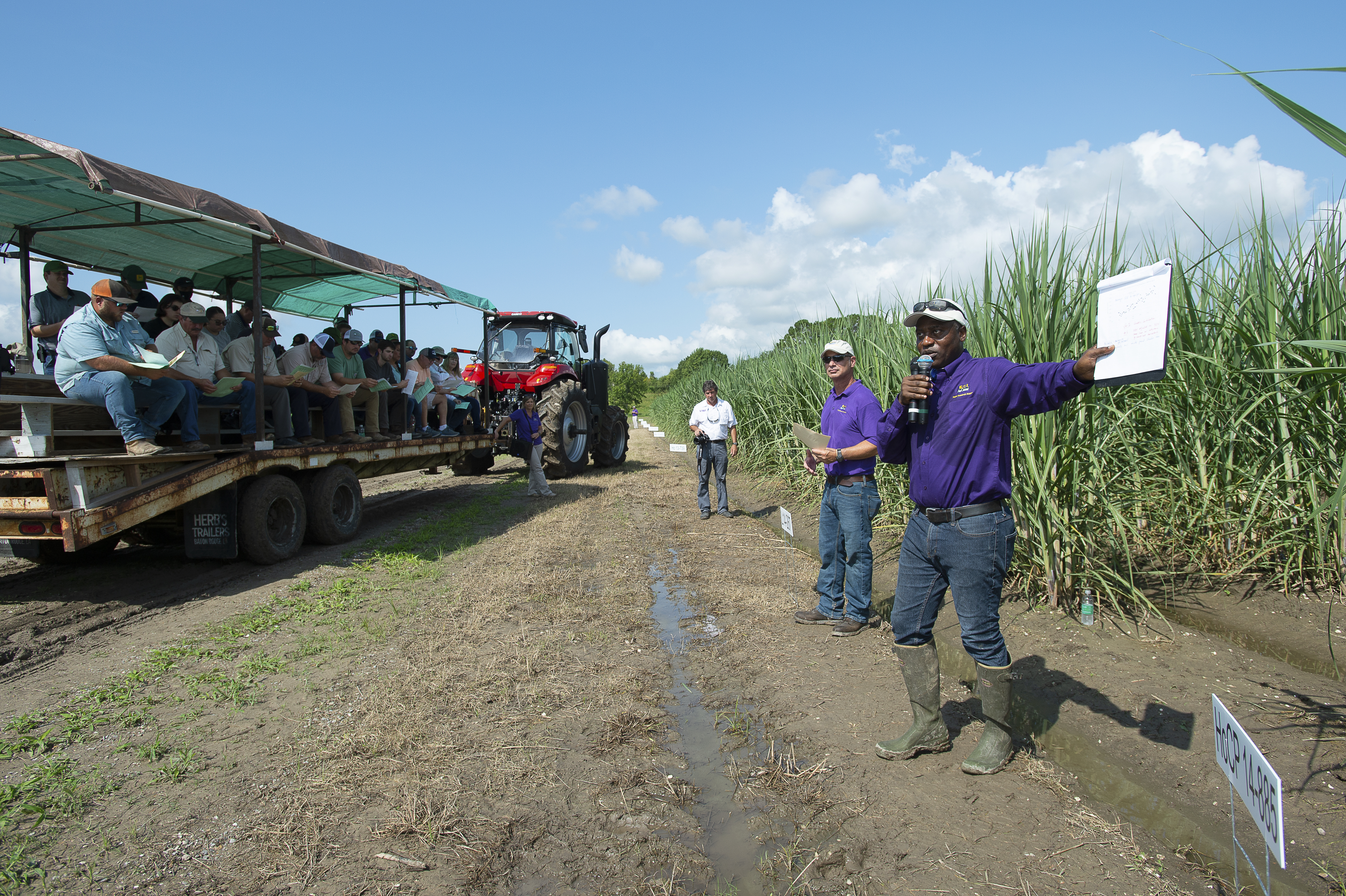 Sugarcane field day to be held July 20 in St. Gabriel 