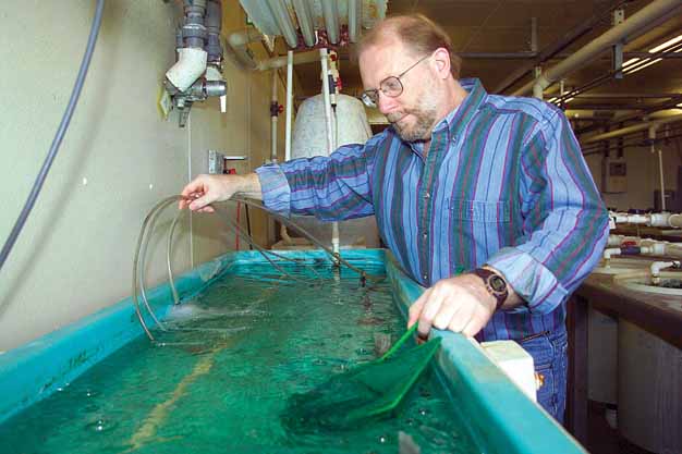 Cryopreservation: A New Industry for Aquatic Species