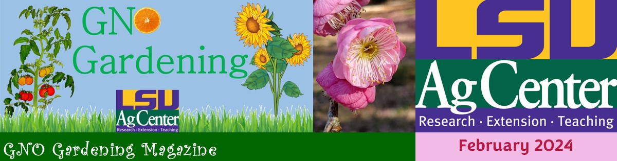 GNO Gardening - February 2024