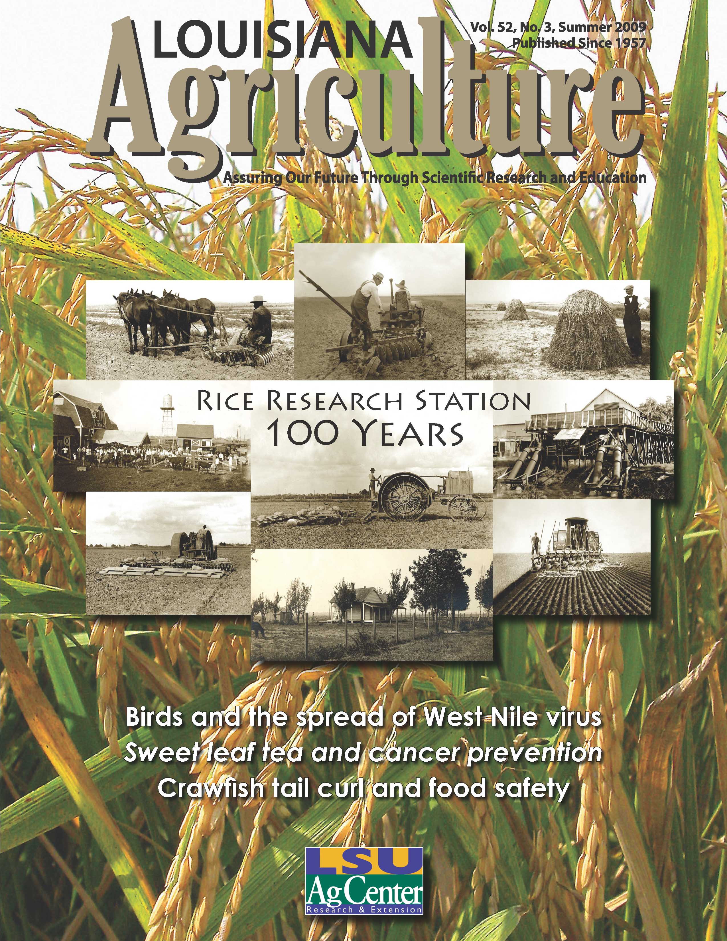 Louisiana Agriculture Magazine Summer 2009
