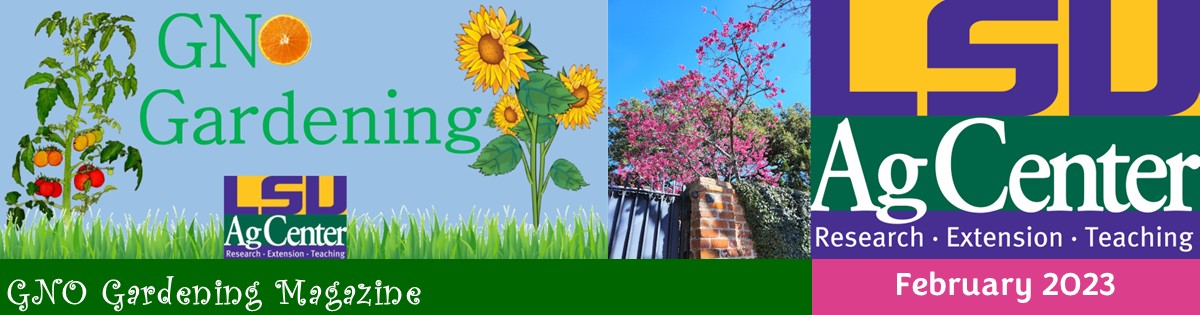 GNO Gardening - February 2023