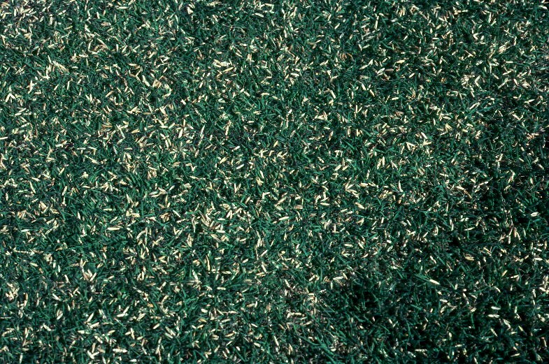 Overseeded turf image