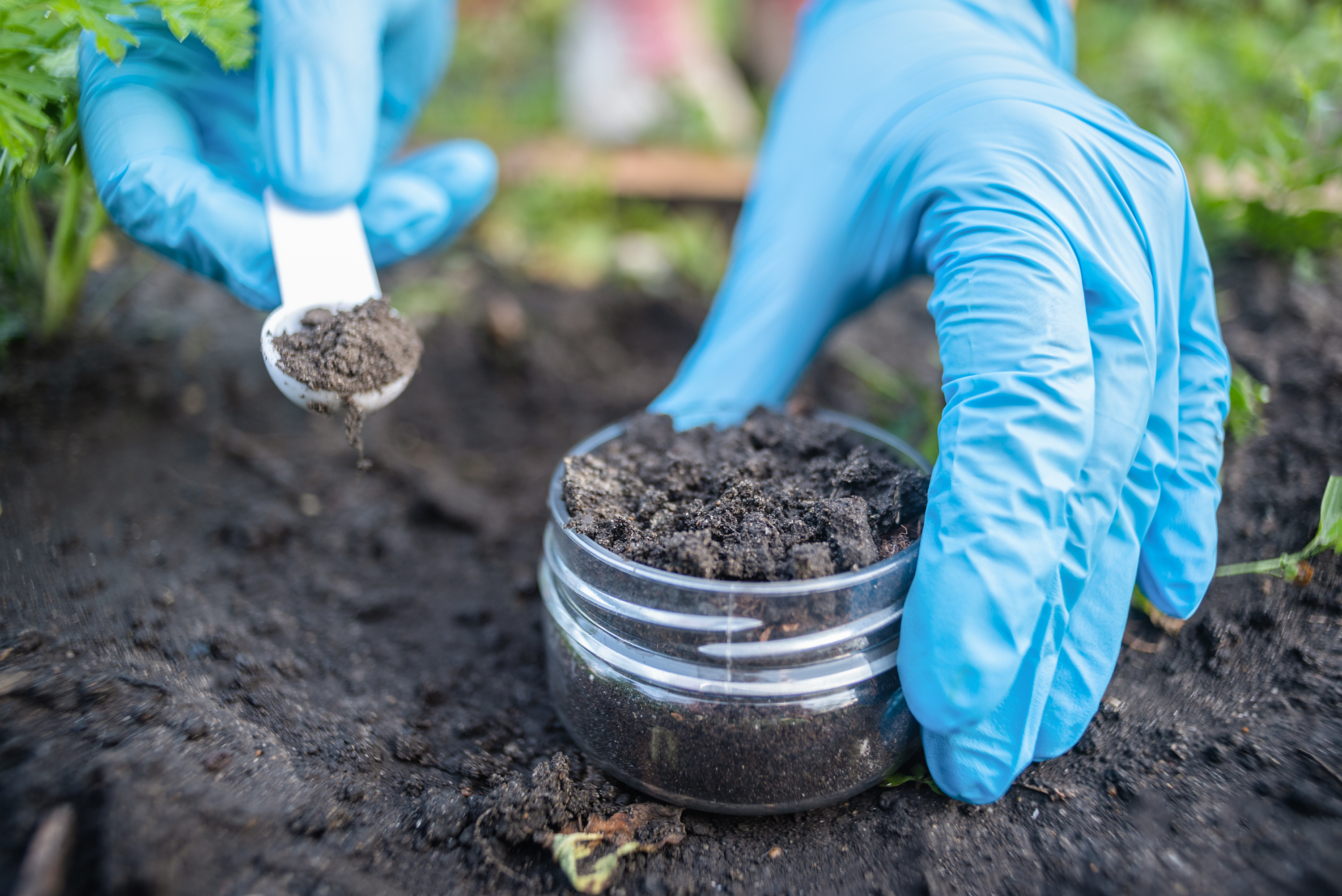 Soil Test Guidelines for Cover Crops