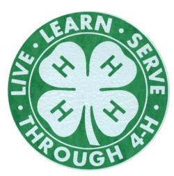 Never Have I Ever (found a 4 leaf clover) 4-H Club Meeting Activity 