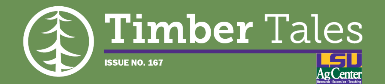 Timber Tales Issue No. 167 decorative header.