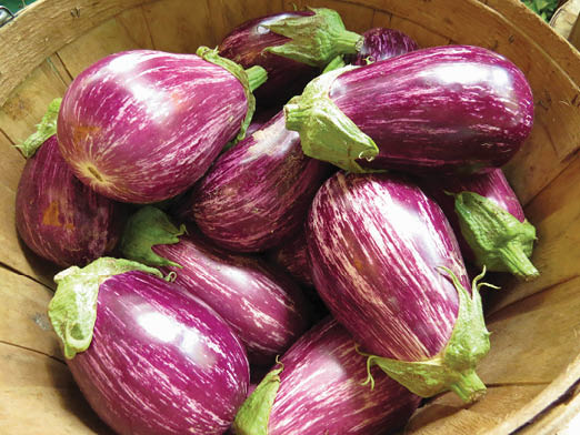 A basket full of purple egg plants with white verigation.