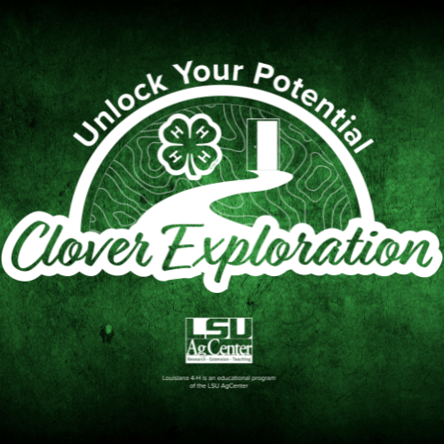 Clover Exploration: Unlocking Your Potential