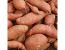 SwPotatojpg