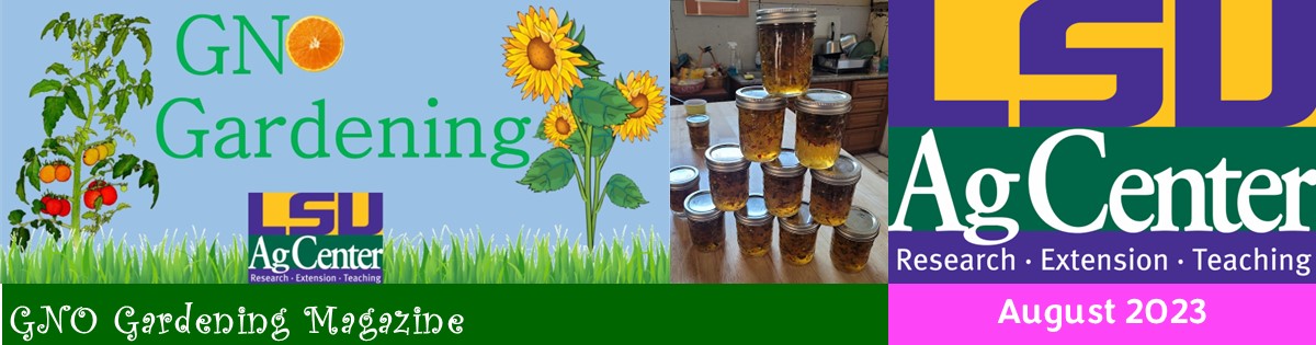GNO Gardening Magazine - August 2023