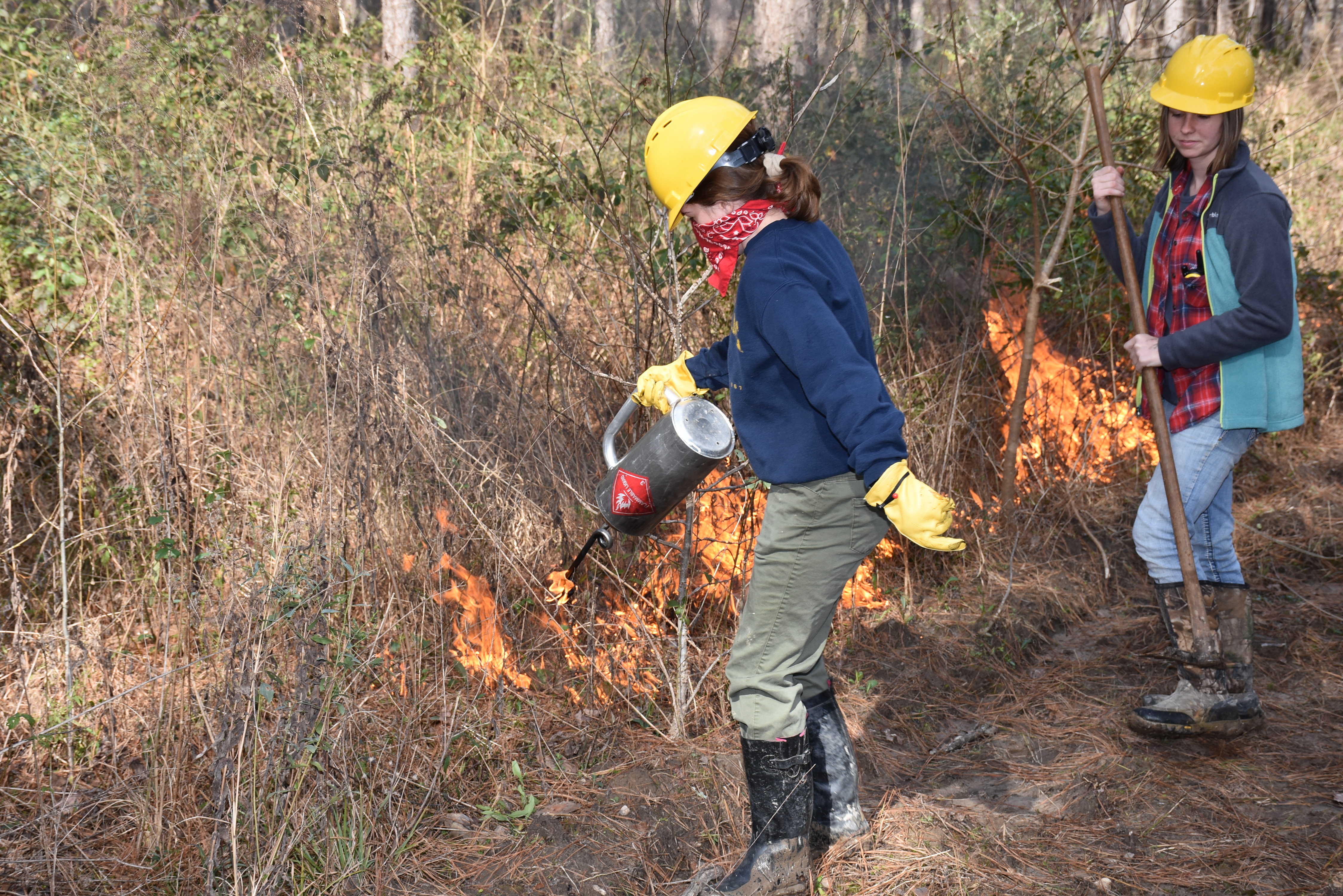 LSU forestry students learn proper burn techniques