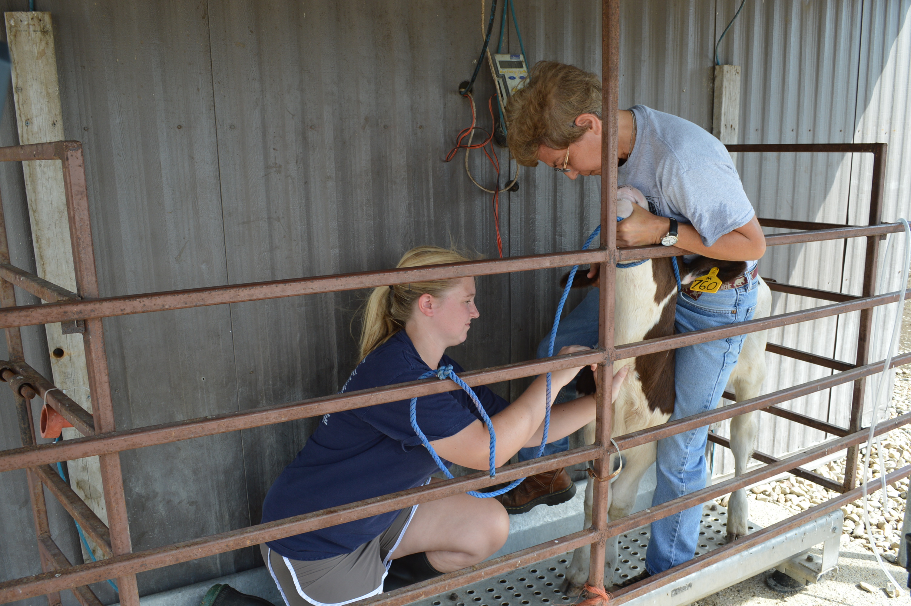 LSU animal sciences student receives national scholarship