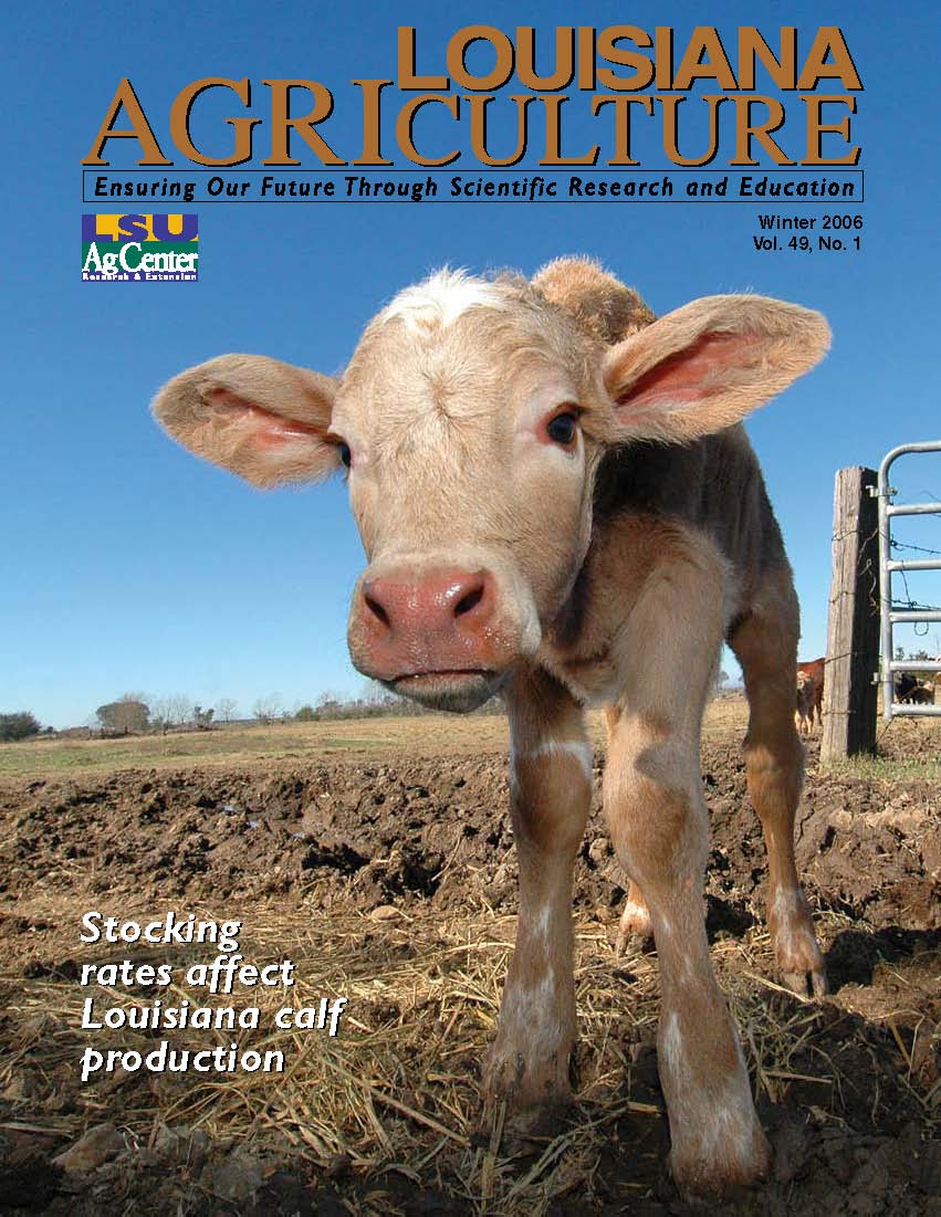 Louisiana Agriculture Magazine Winter 2006