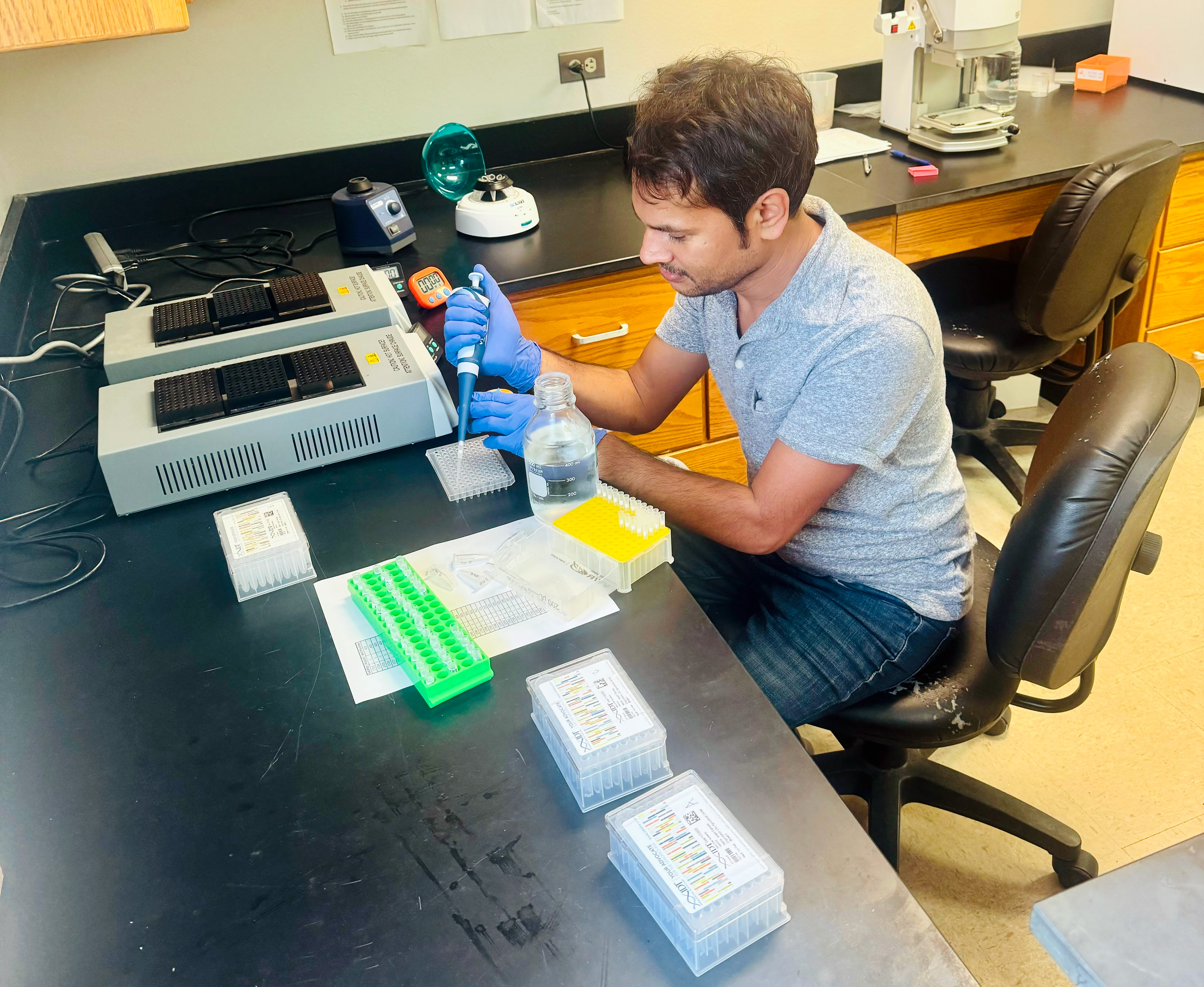 Genetic markers crucial to rice breeding program