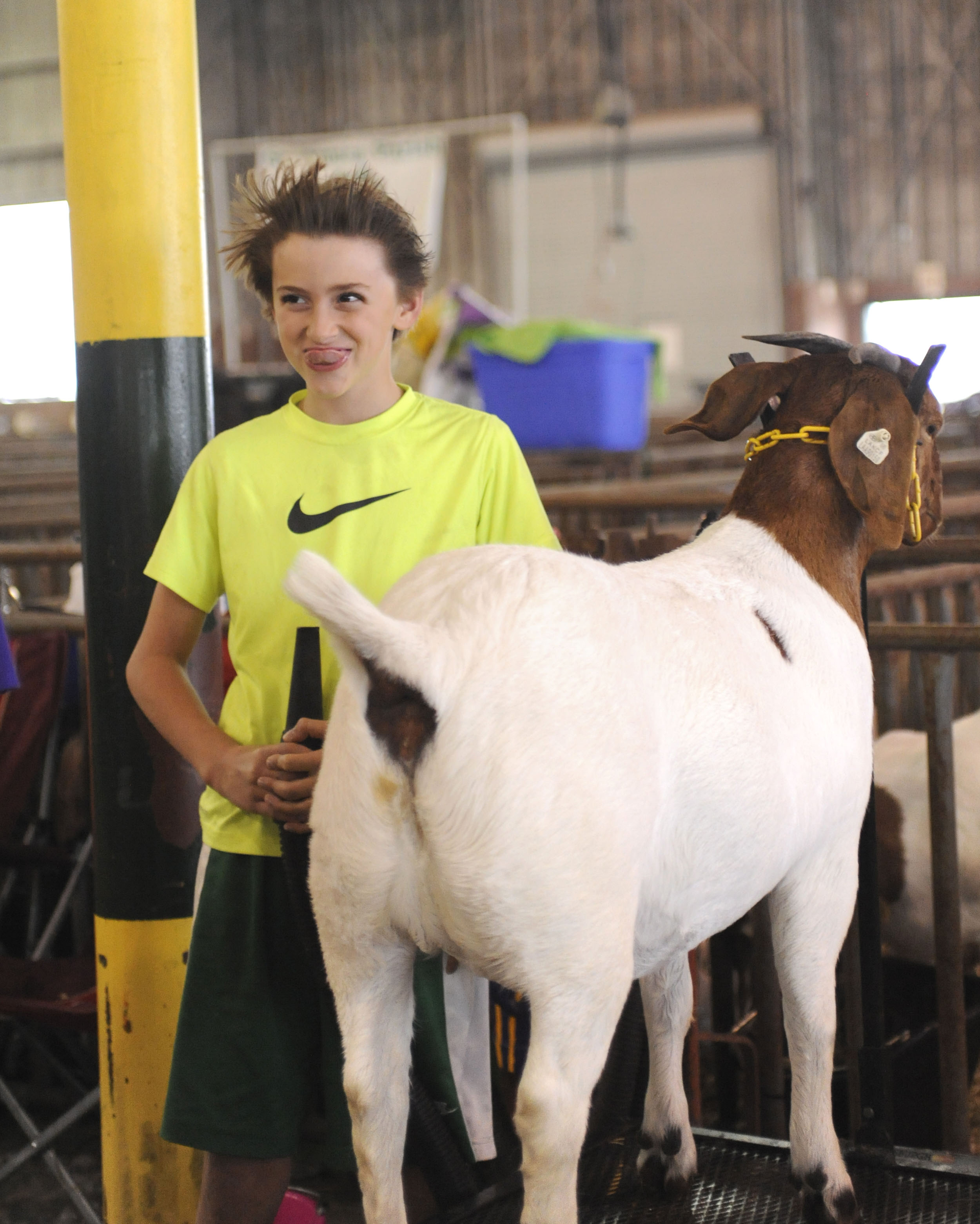 boy and white goat