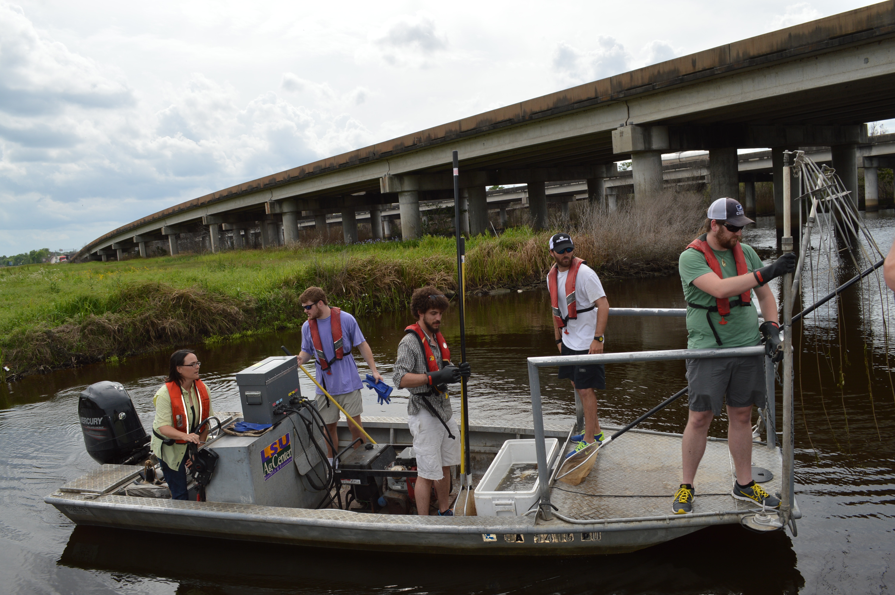Electrofishing gives students look at fish diversity