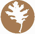 Fall-Iconjpg