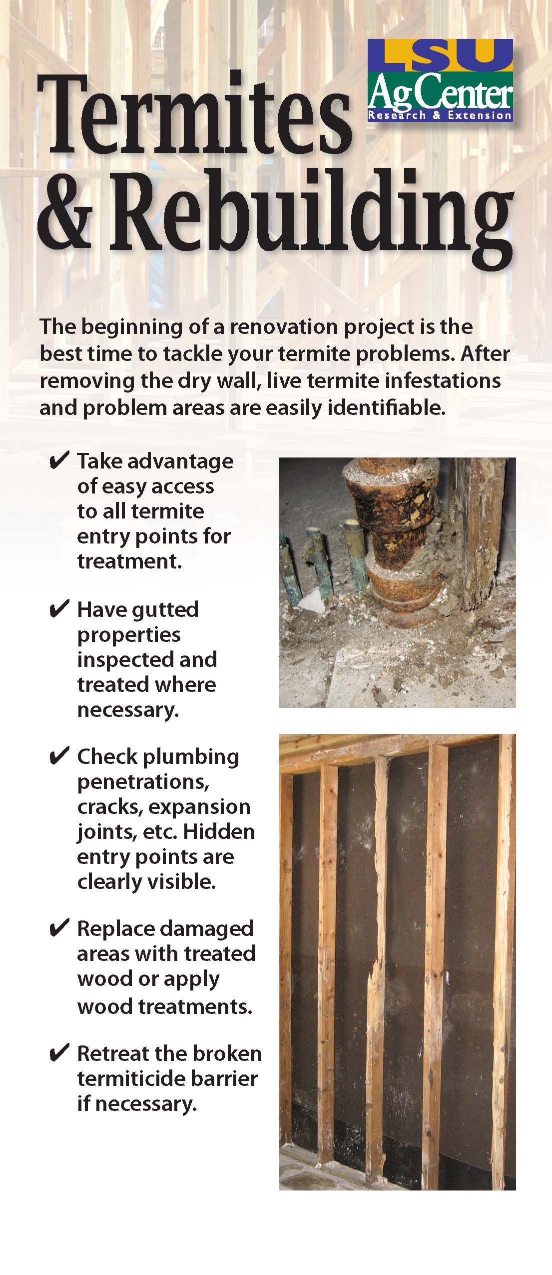 Termites and Rebuilding