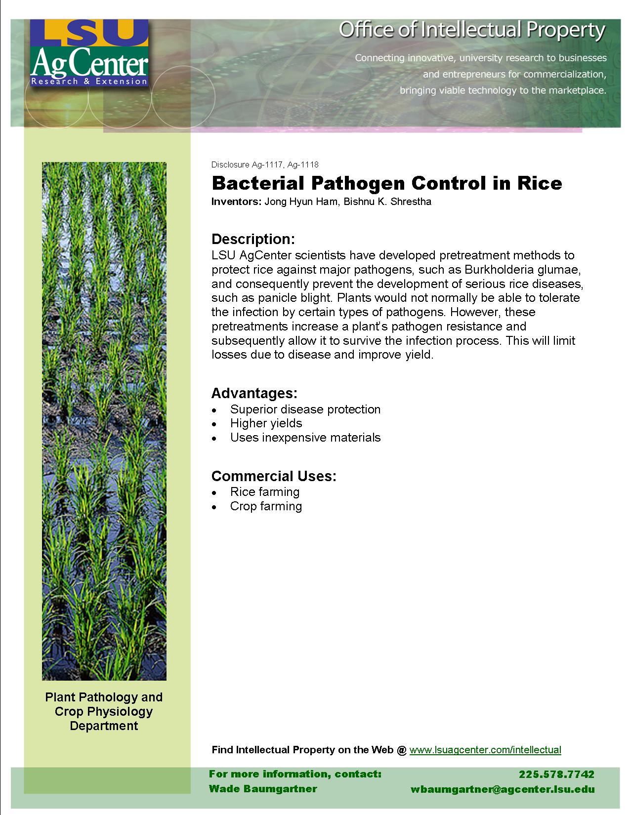 Bacterial Pathogen Control in Rice