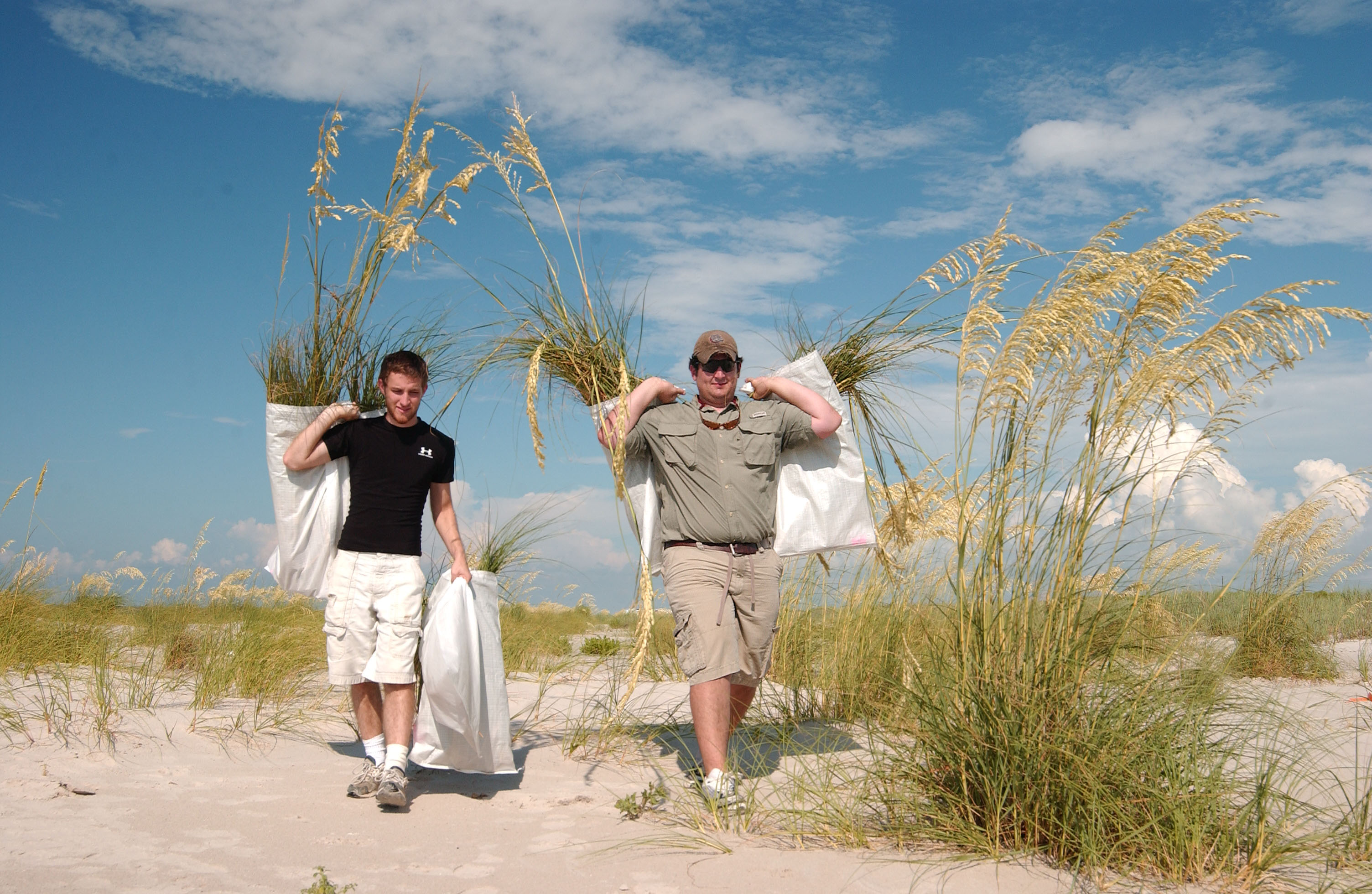 Students carry sea oat plants that are part of coastal restoration research
