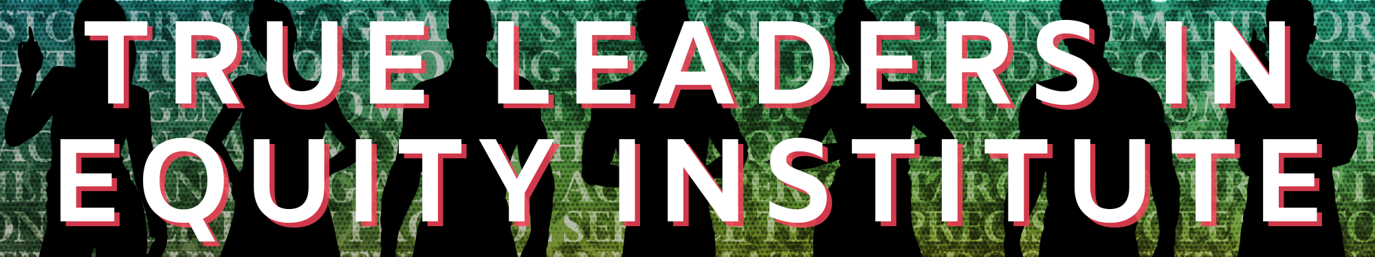 True Leadership Equity Institute banner.