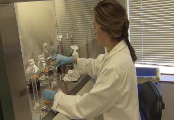 Food science student seeking to make seafood safer