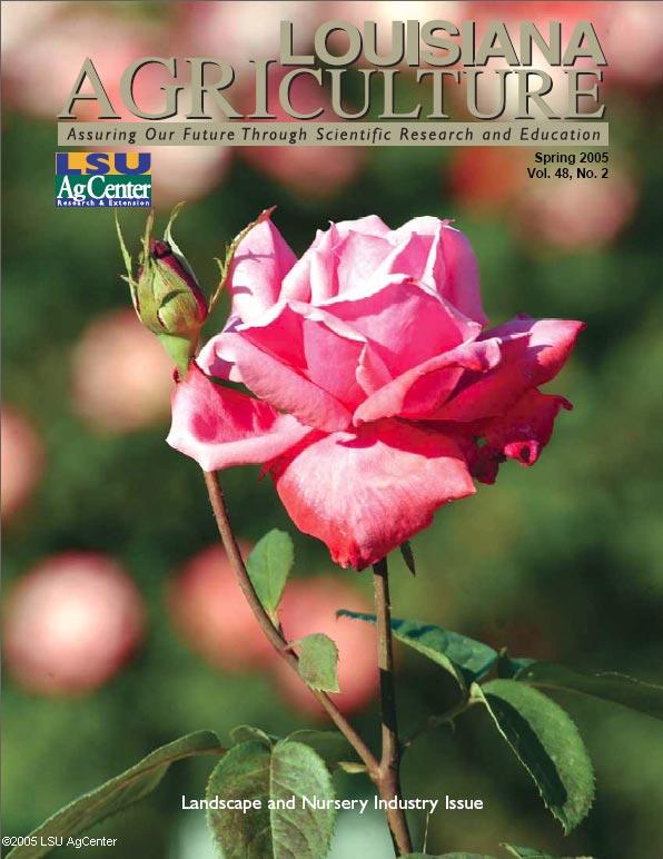 Louisiana Agriculture Magazine Spring 2005