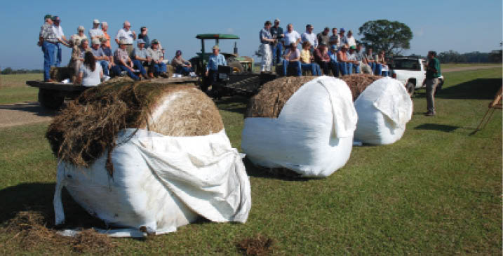 Photo of the bale silage system