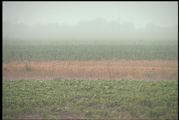 Wet spring could be in farmers' future