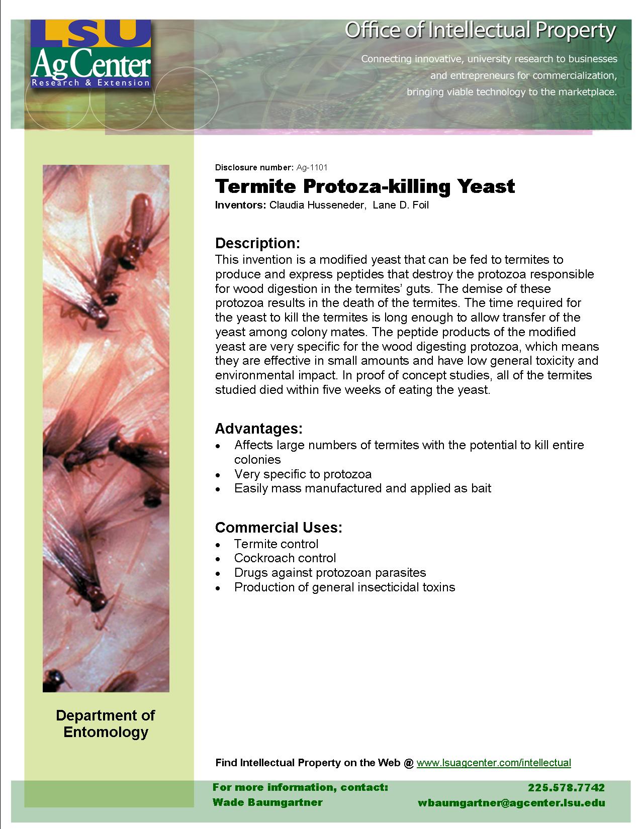 Termite Protozoa-killing Yeast