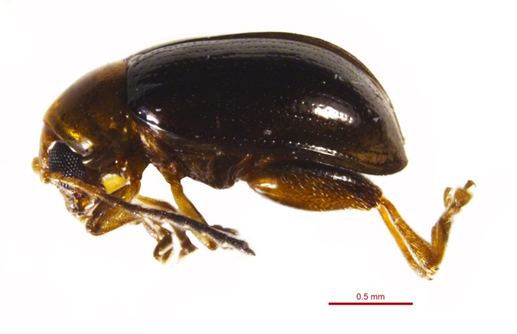 Figure9jpg