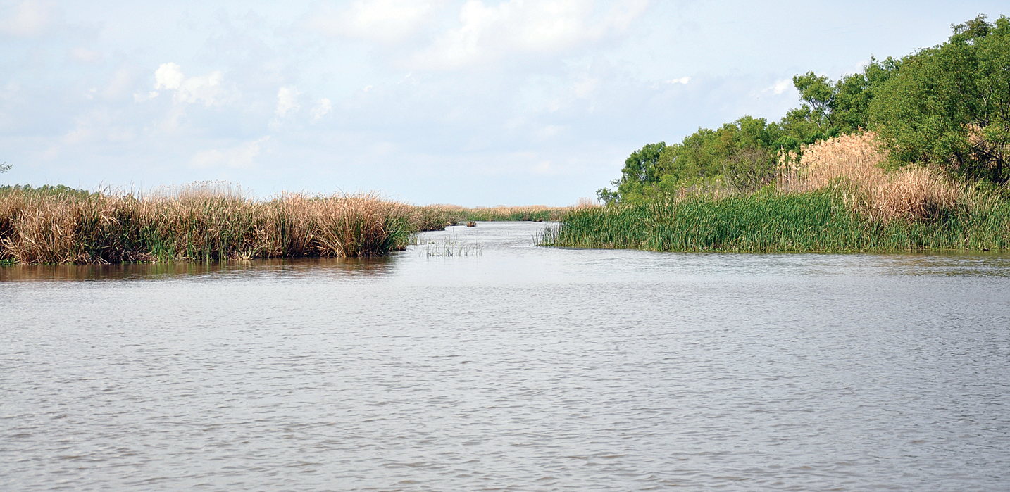 Keep Louisiana’s water resources plentiful and good
