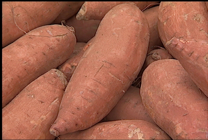 Sweet potato acreage, demand up