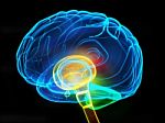 Brain Talk - Part 2