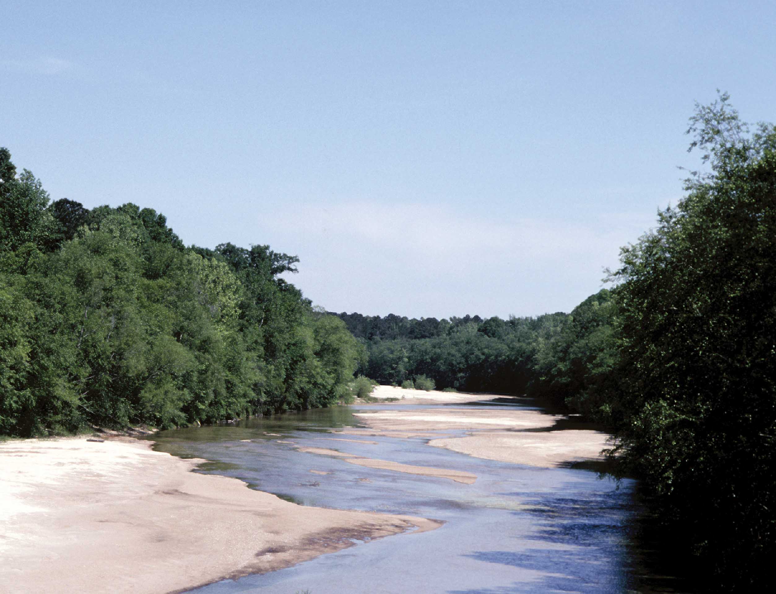 Water Pollution and Income: What’s the Connection?