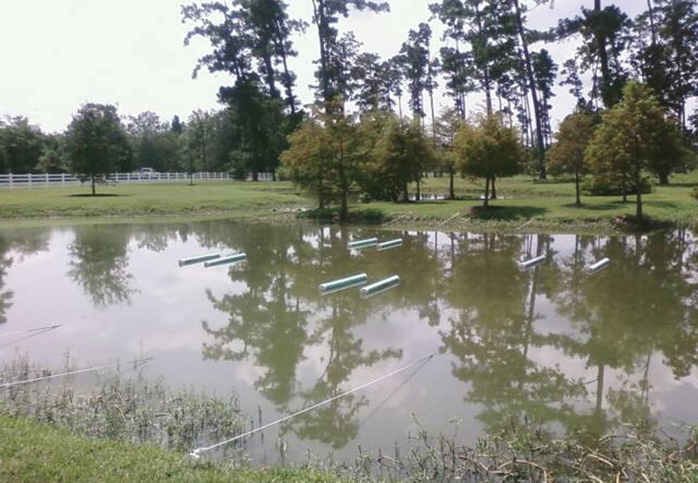 SAV Cages in Hammond Research Pond