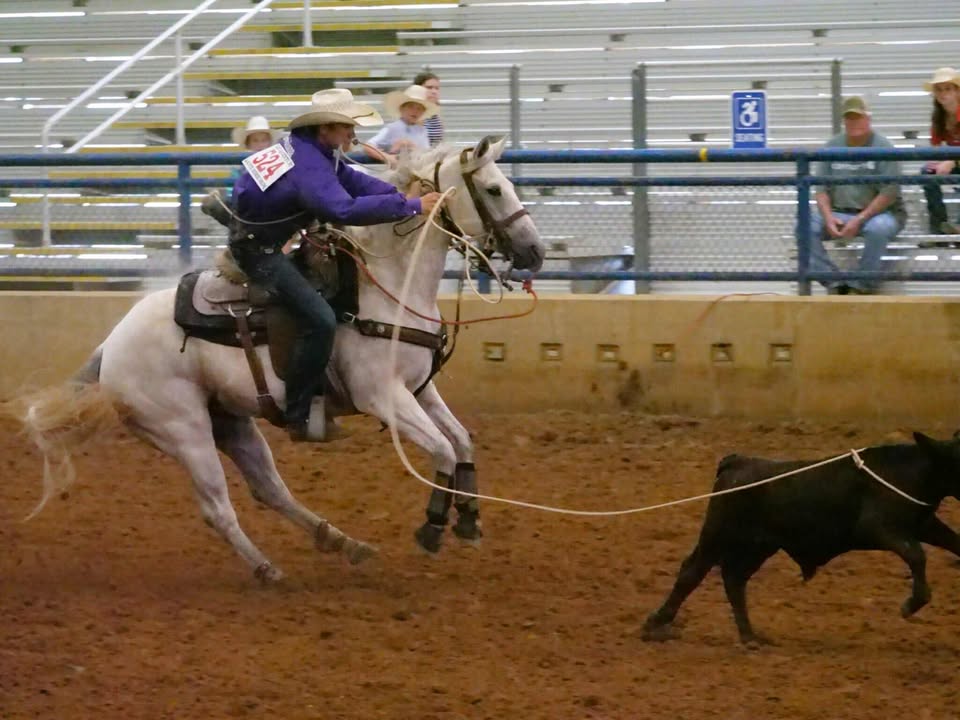 A 4-H youth riding a horse while roping a calf.