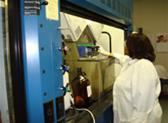 Pet Food Samples