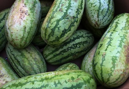 Watermelons