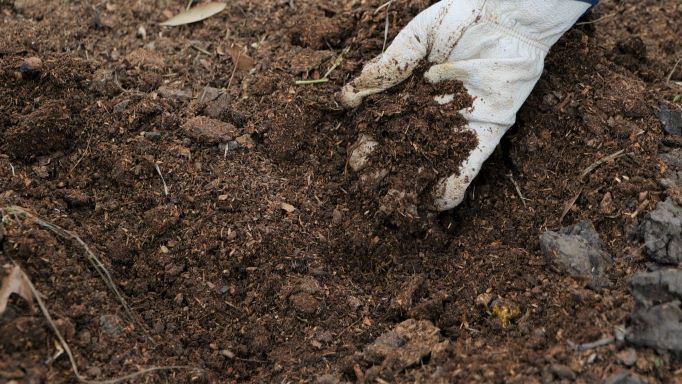 Get It Growing: Alternative fertilizers for vegetable gardening