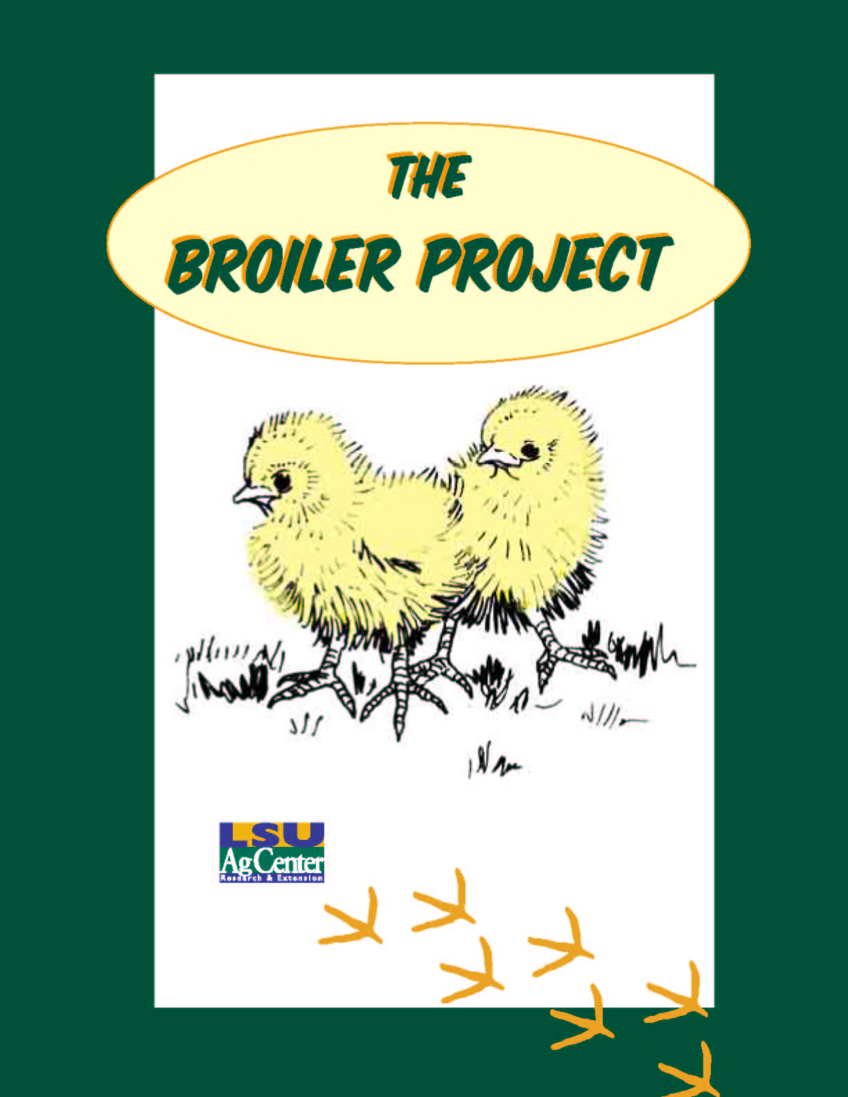 The Broiler Project