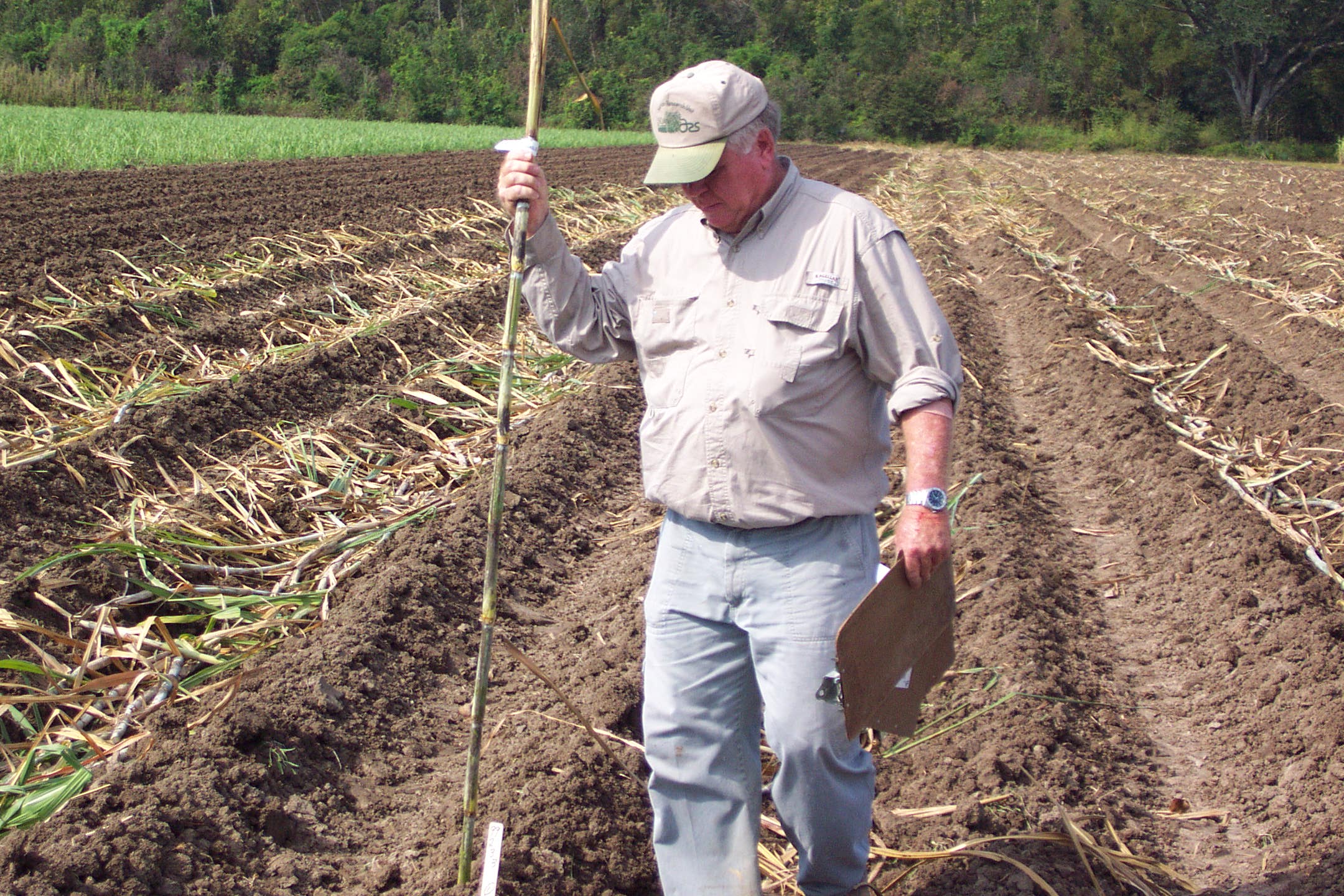 Planting an Outfield Test