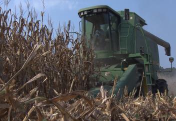 Bad weather and low commodity prices take a toll on Louisiana's agriculture industry 