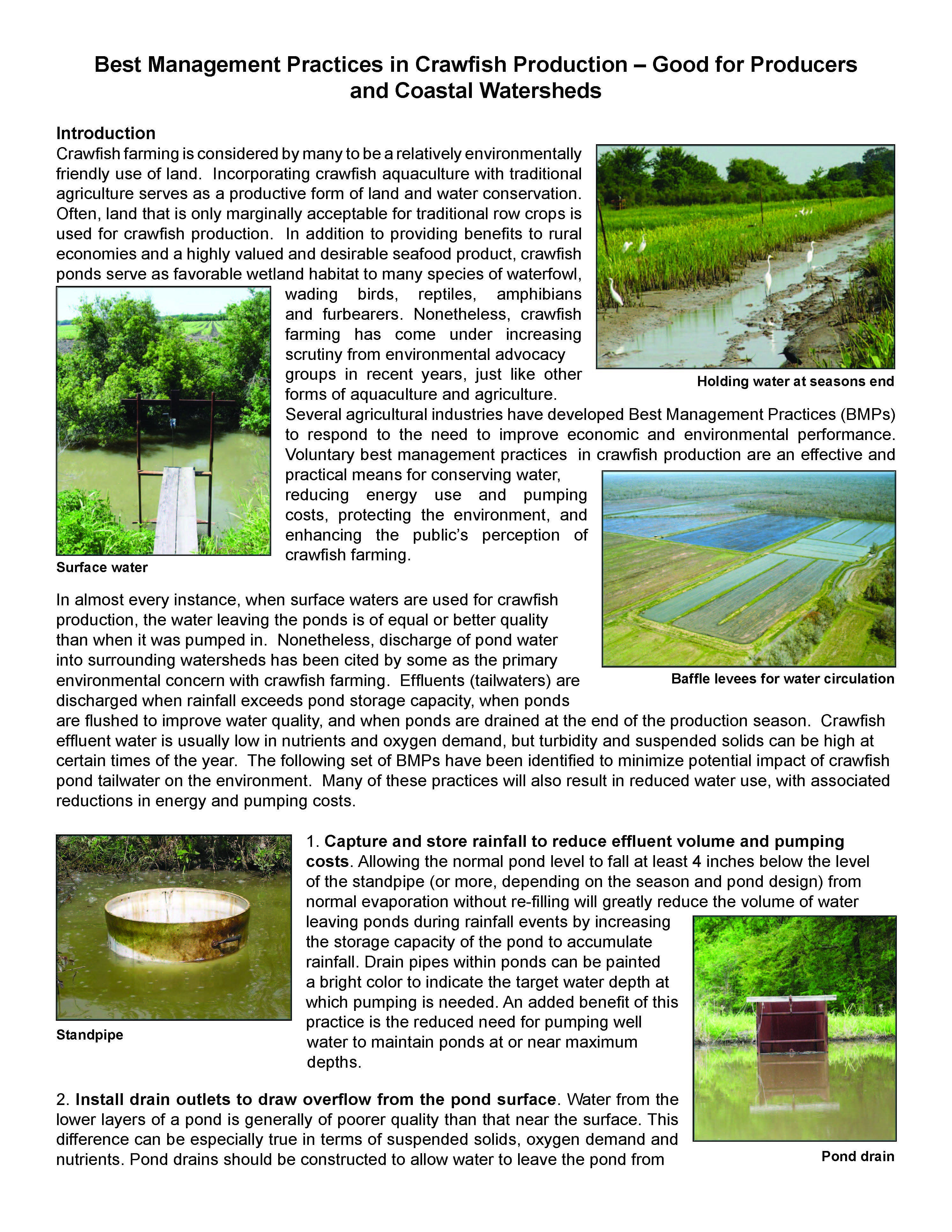 Best Management Practices in Crawfish Production - Good for Producers and Coastal Wetlands