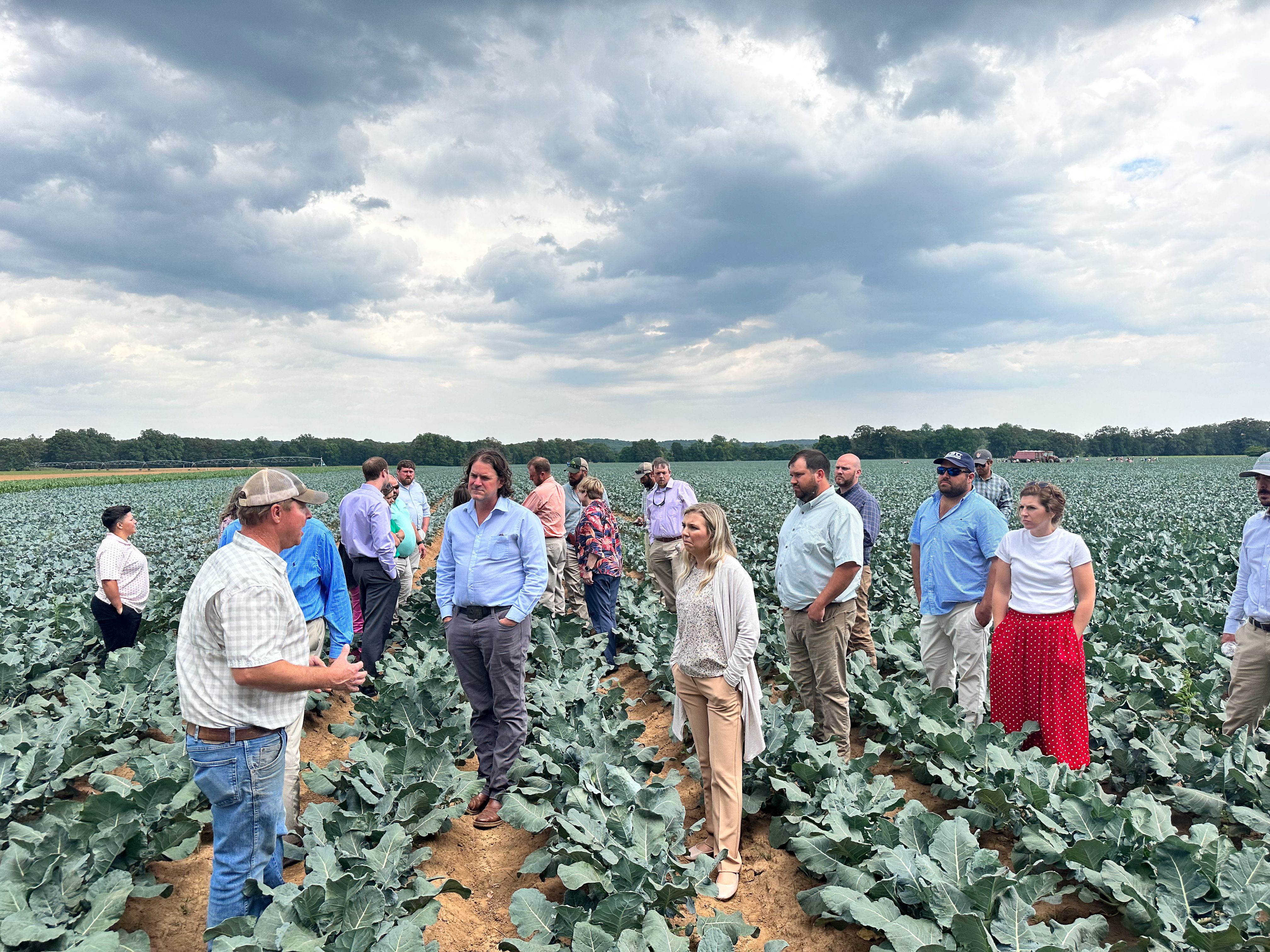 Class XVIII checking out the field of broccoli. 