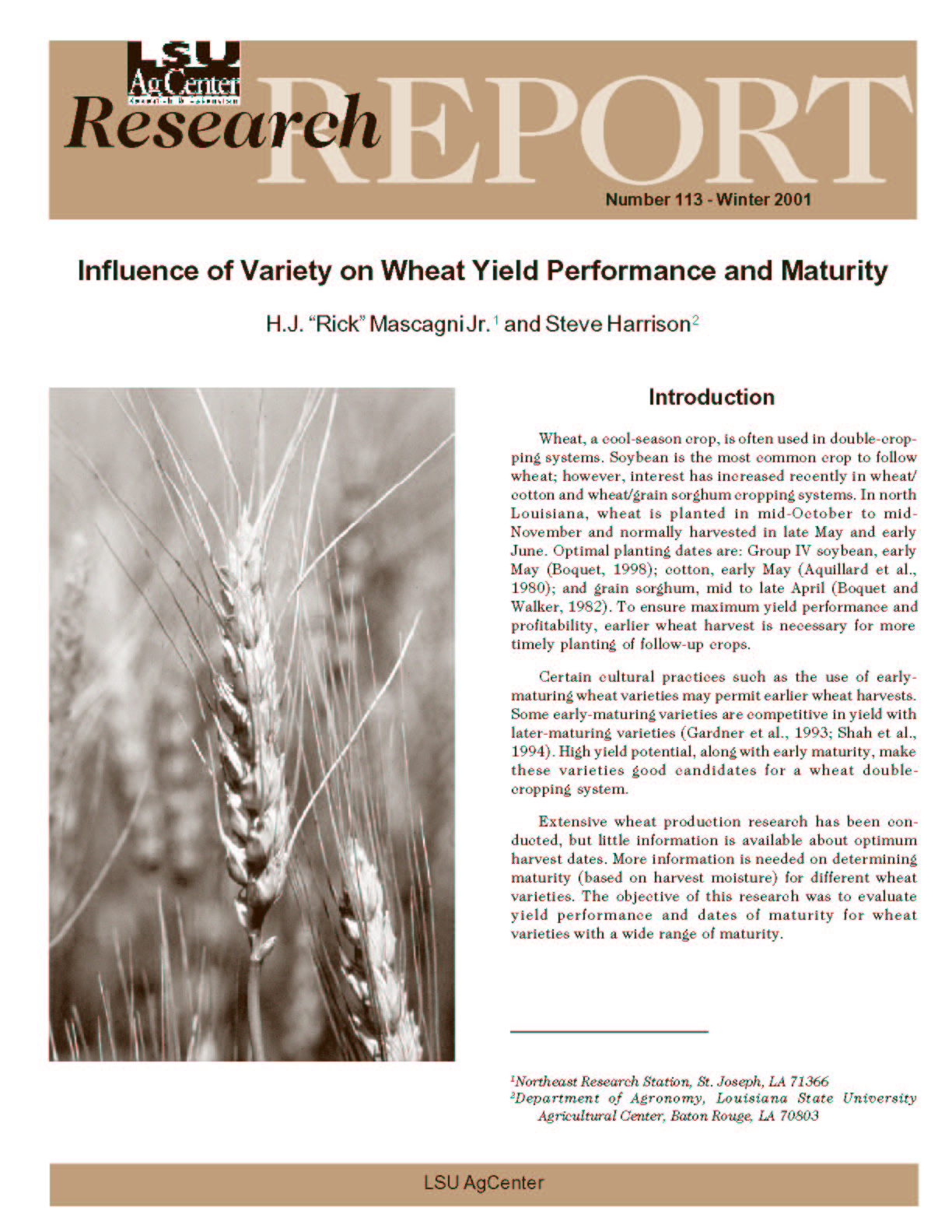 Influence of Variety on Wheat Yield Performance and Maturity (Winter 2001)