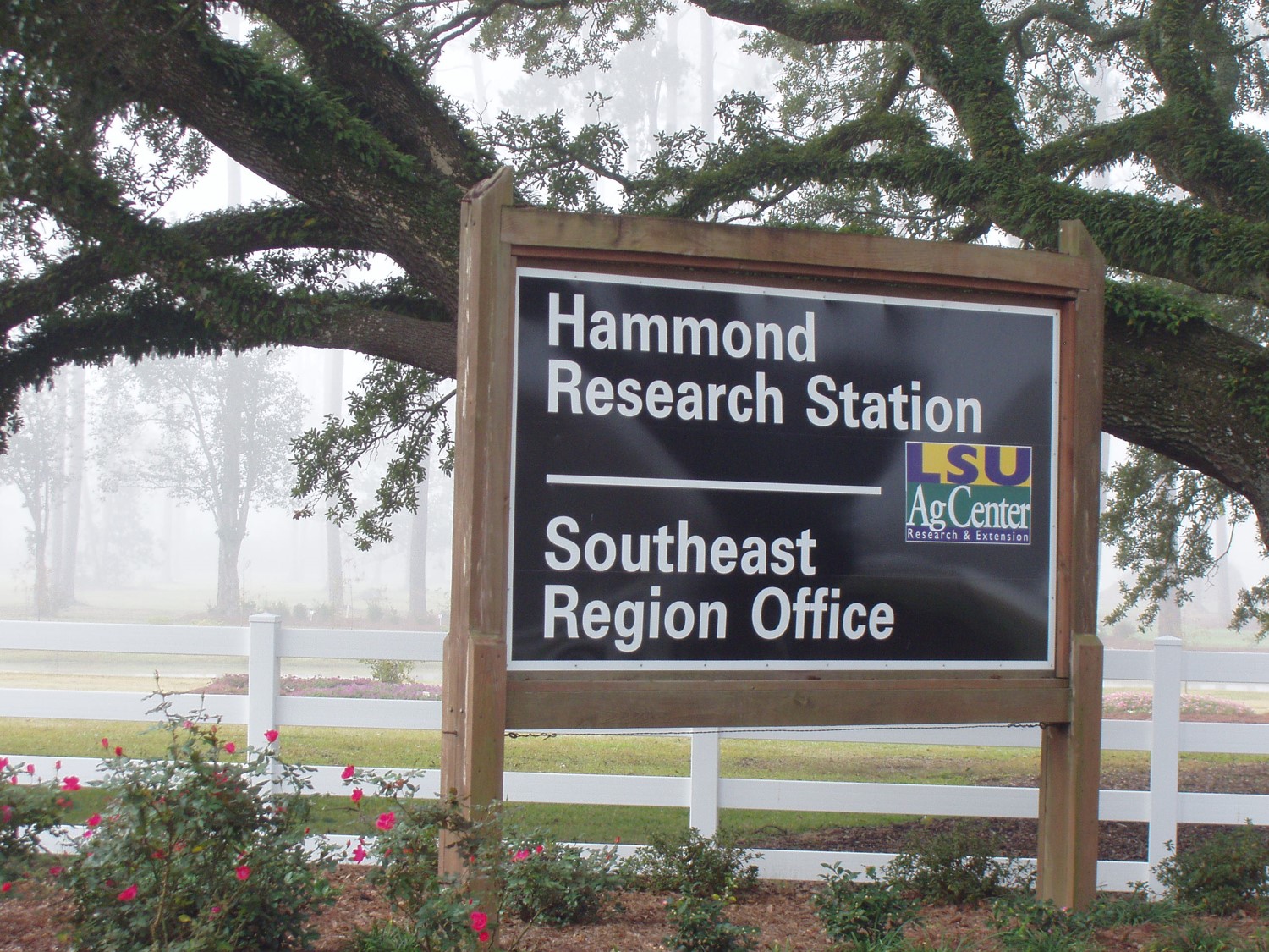 Landscape horticulture field day set for Oct. 4 in Hammond 